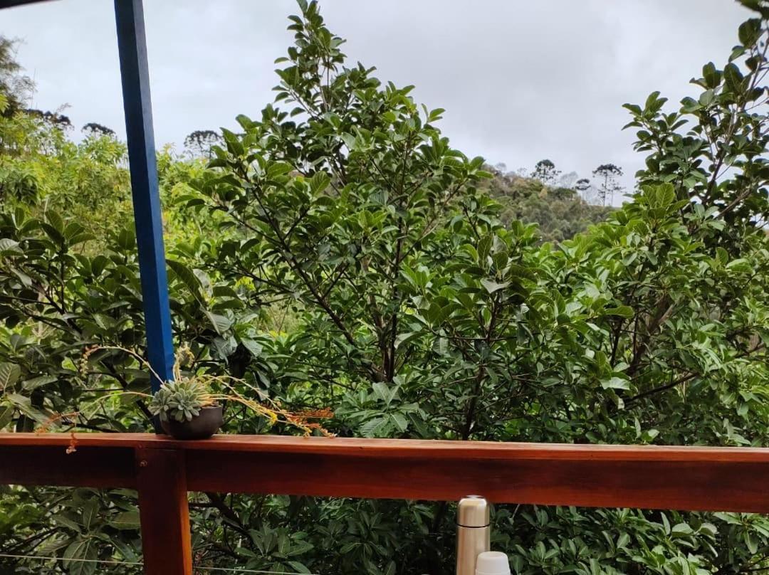 סנטו אנטוניו דו פינהאל Chales Agua Azul מראה חיצוני תמונה